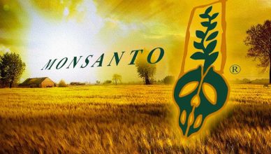 Die 12 schrecklichsten Produkte made by Monsanto