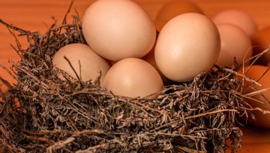 8 Gründe, warum Eier doch gesund sind