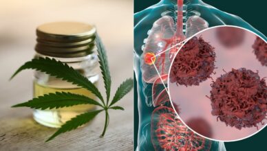 Über 100 wissenschaftliche Studien bestätigen: Cannabis vernichtet Krebszellen