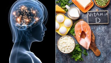Vitamin D und das Gehirn: Neuer Mechanismus erklärt die Verbindung