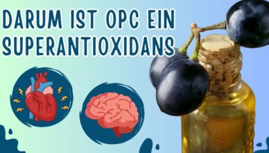 6 Gründe, warum OPC ein Superantioxidans ist