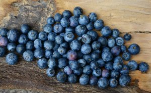 Mehr über den Artikel erfahren Blaubeeren unterstützen das Gehirn und wirken entzündungshemmend