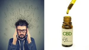 Mehr über den Artikel erfahren CBD-Öl: Ein “Wunderöl”, das Ängste lindert, ohne “High” zu machen