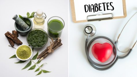 Du betrachtest gerade Neem gegen Diabetes: Wie das “Wunderkraut” helfen kann