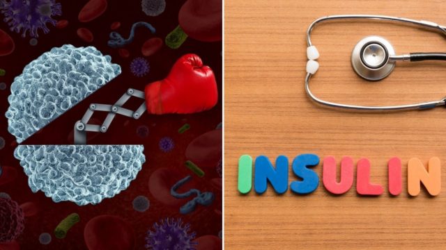 Du betrachtest gerade Welche Rolle spielt Insulin für die Abwehrkräfte?