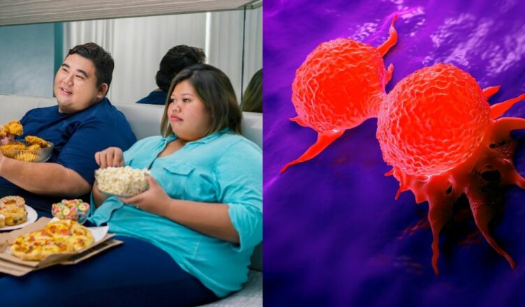 Studie: Fettleibigkeit macht Brustkrebszellen aggressiver