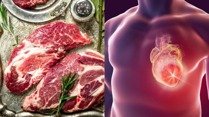 Du betrachtest gerade Rotes Fleisch erhöht das Risiko von Herzerkrankungen durch Darmbakterien