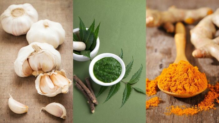 Du betrachtest gerade 10 Natürliche Antibiotika