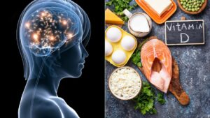 Mehr über den Artikel erfahren Vitamin D und das Gehirn: Neuer Mechanismus erklärt die Verbindung