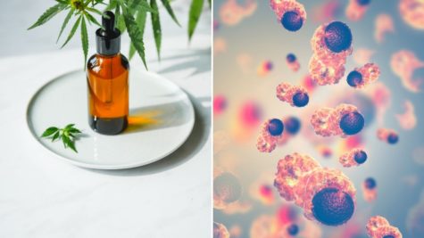 Du betrachtest gerade CBD gegen Krebs: Wirkungen, Nebenwirkungen & mehr