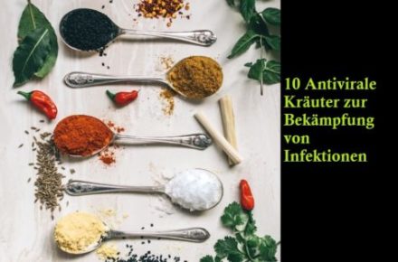 Du betrachtest gerade 10 Antivirale Kräuter zur Bekämpfung von Infektionen