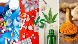 Mehr über den Artikel erfahren 10 Pflanzen, die besser wirken als Tabletten