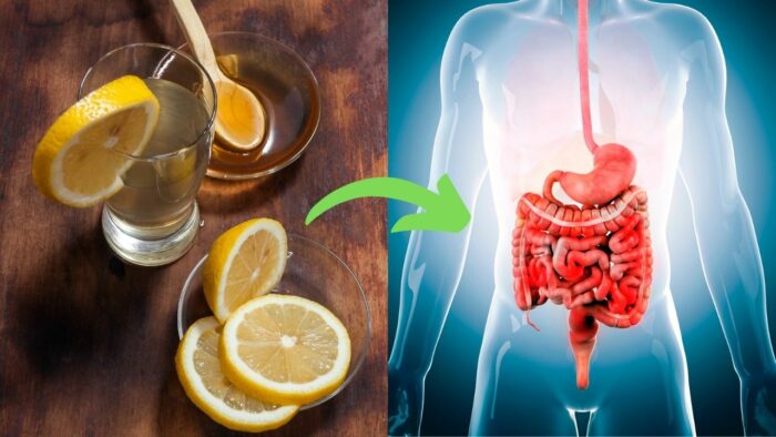Du betrachtest gerade 6 Gründe, warum du täglich Honig-Zitronen-Wasser trinken solltest