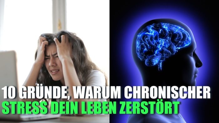 Du betrachtest gerade 10 Gründe, warum chronischer Stress dein Leben zerstört
