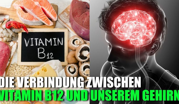 Die Verbindung zwischen Vitamin B12 und unserer Gehirnfunktion
