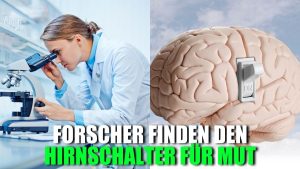 Mehr über den Artikel erfahren Forscher finden den Hirnschalter für Mut