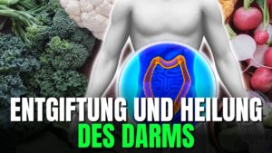 Mehr über den Artikel erfahren 11 Lebensmittel zur Entgiftung und Heilung des Darms