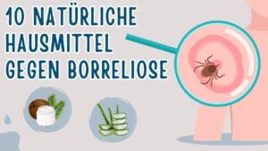 Mehr über den Artikel erfahren 10 Natürliche Hausmittel gegen Borreliose