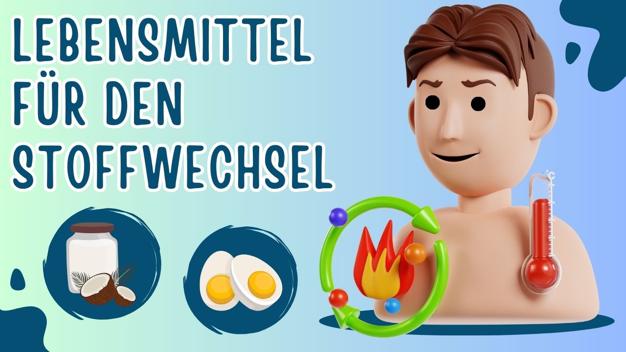 Du betrachtest gerade 6 Lebensmittel, die gut für den Stoffwechsel sind