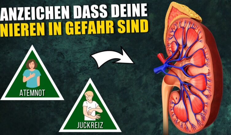 12 alarmierende Anzeichen, dass deine Nieren in Gefahr sein könnten!