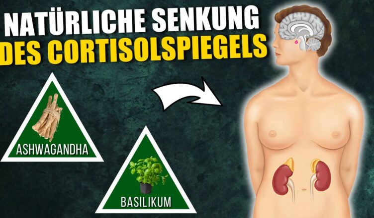 7 natürliche Mittel zur Senkung des Cortisolspiegels