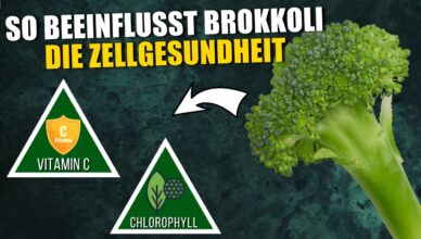 So beeinflusst der tägliche Verzehr von Brokkoli deine Zellgesundheit!