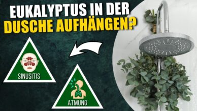 Der wahre Grund, warum du Eukalyptus in deiner Dusche aufhängen solltest!